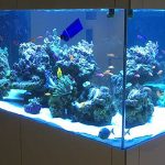 custom-home-tank